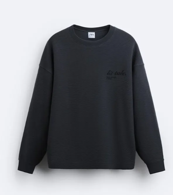 ZARA  |Long Sleeves Plain Cotton Logo Sweatshirts